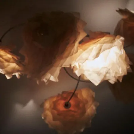 La Maison Bleue De Roubaix