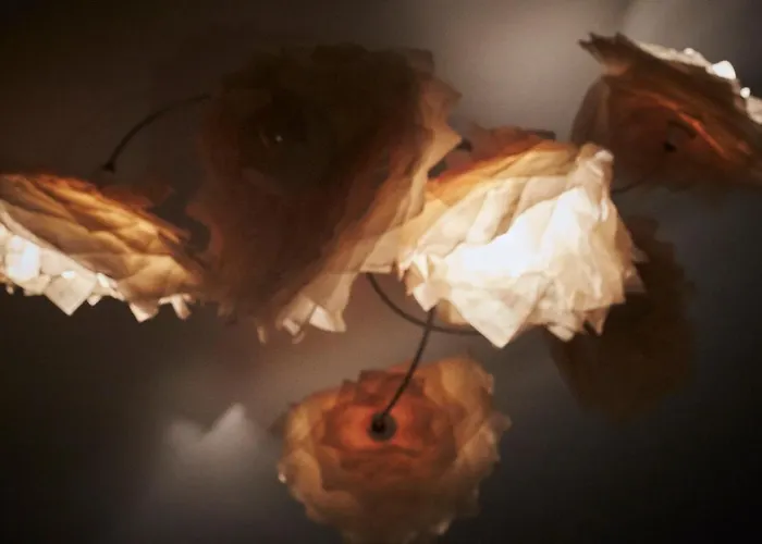 La Maison Bleue De Roubaix