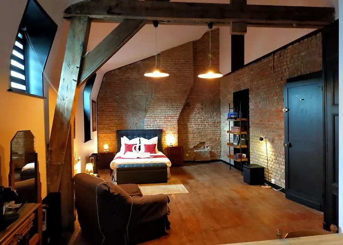 La Maison Bleue De Roubaix